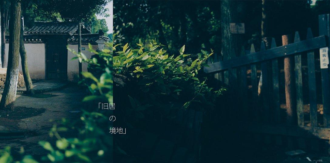 动物帮帮忙保卫家园