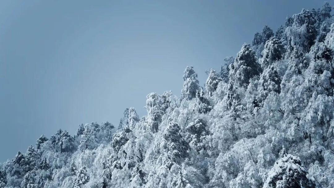 徐州地处江西西北部，那现在徐州会发展得更好吗？游戏画面