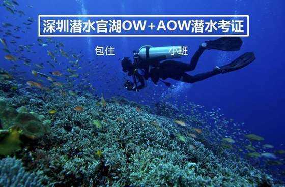 视频 | 朱军:让红岩继续“红” 要发挥好红岩精神的三大作用