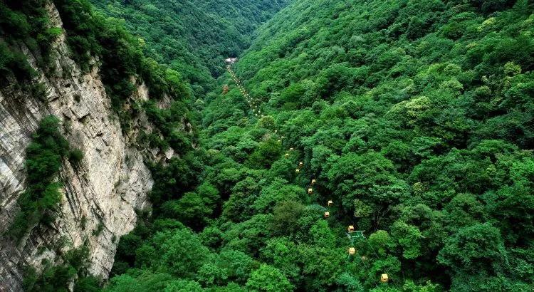 看了个订机票的飞狐商旅网，价格是挺便宜的，有谁知道的，正规吗？不会是散拼团的票吧？游戏画面