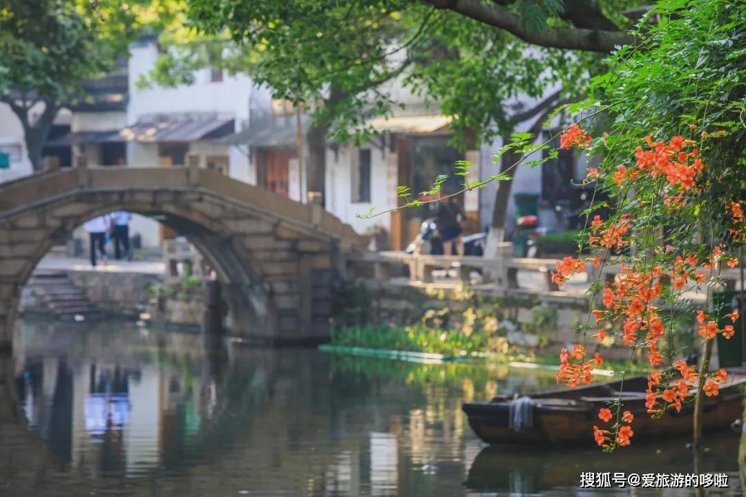 迷你淘气猪逃脱